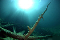 Photo Fernsteinsee & Samerangersee