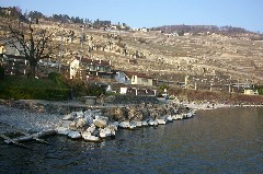 Rivaz gare