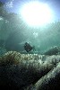 Photos Verzasca